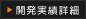 開発実績詳細