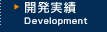 開発実績