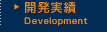 開発実績